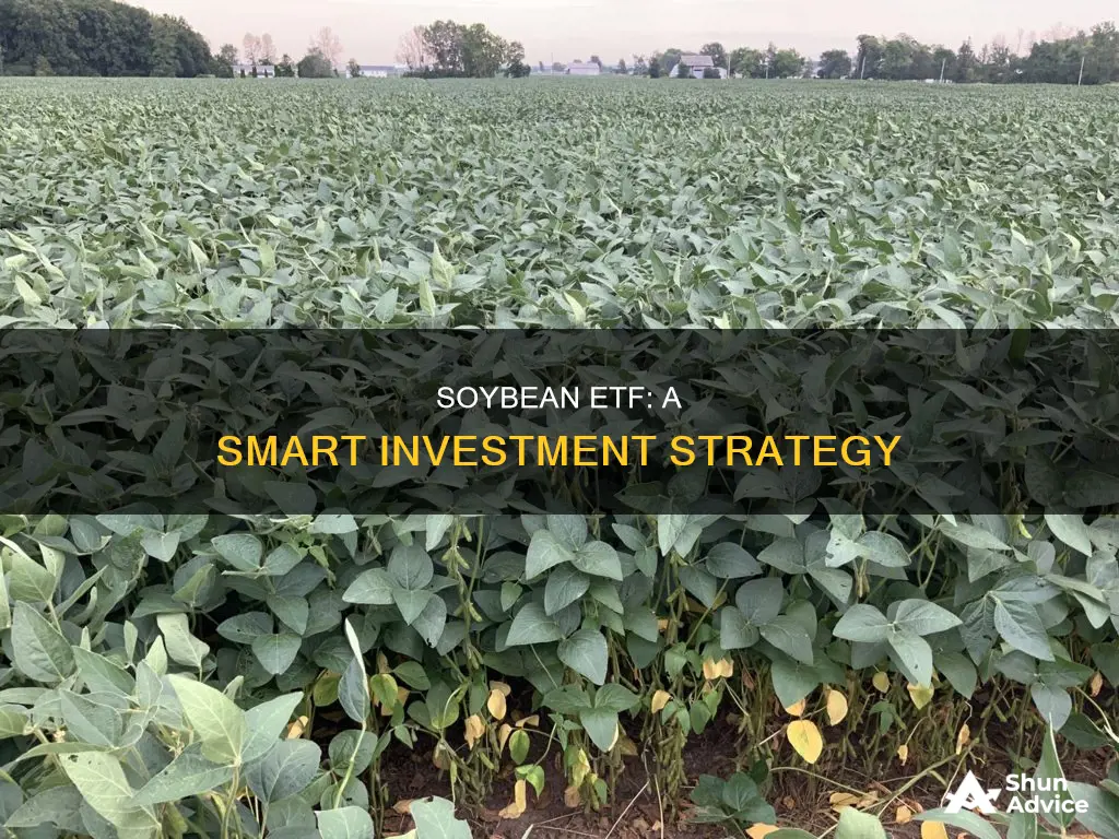 how to invest in soybeans etf