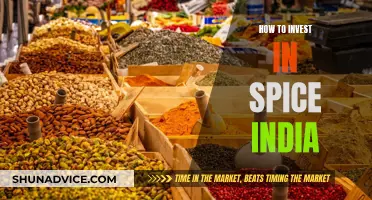 Spice India: A Guide to Investing in India's Future