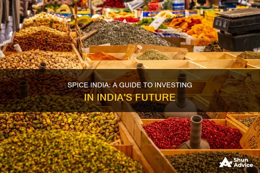 how to invest in spice india