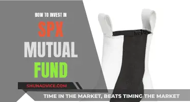 A Beginner's Guide to SPX Mutual Fund Investing