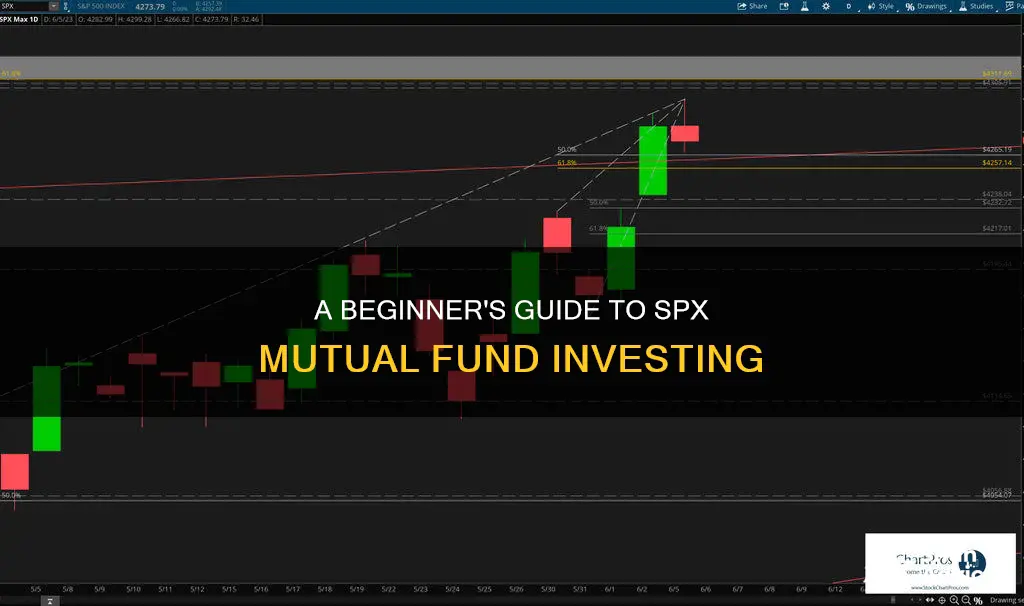 how to invest in spx mutual fund