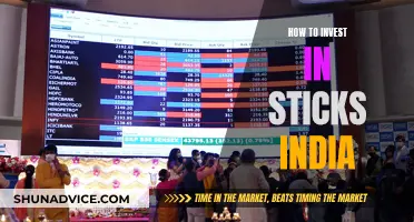 Stocks 101: Investing in India's Market