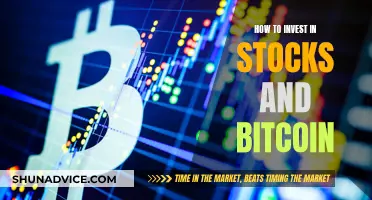 Smart Strategies for Stock and Bitcoin Investment