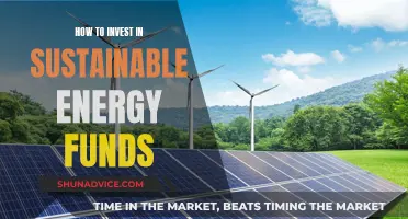 Sustainable Energy Funds: Where to Invest and How