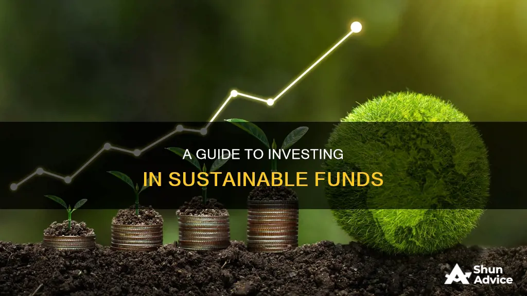 how to invest in sustainable fund