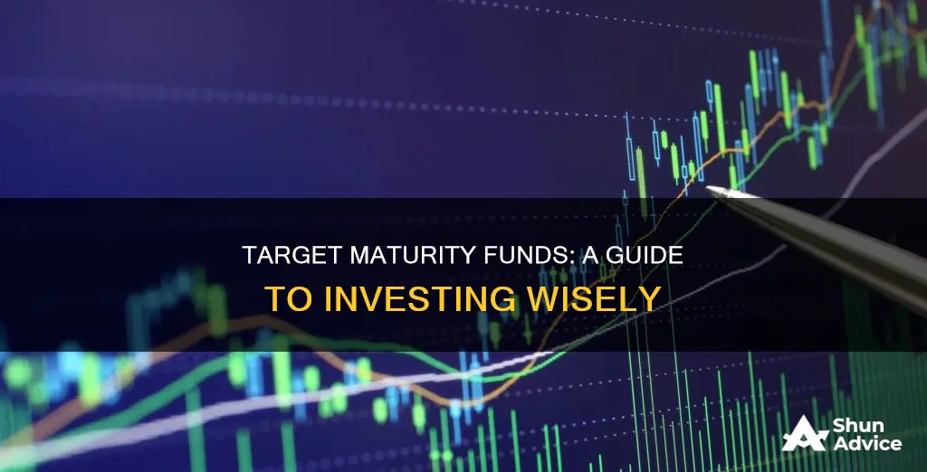 how to invest in target maturity funds