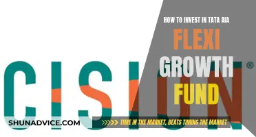 Tata AIA Flexi Growth Fund: Investing Strategies for Beginners