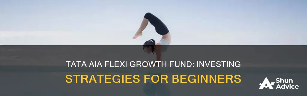 how to invest in tata aia flexi growth fund