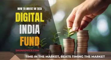 Tata Digital India Fund: A Smart Investment Strategy