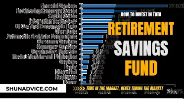 Invest in Tata Retirement Savings Fund: A Comprehensive Guide