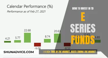 A Beginner's Guide to TD e-Series Funds Investing