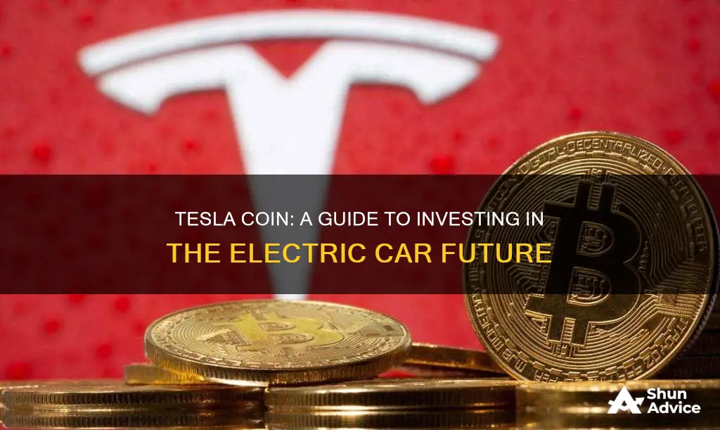 how to invest in tesla coin