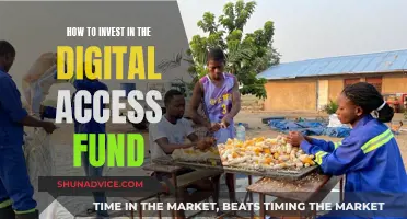 Digital Access Fund: A Guide to Investing Wisely