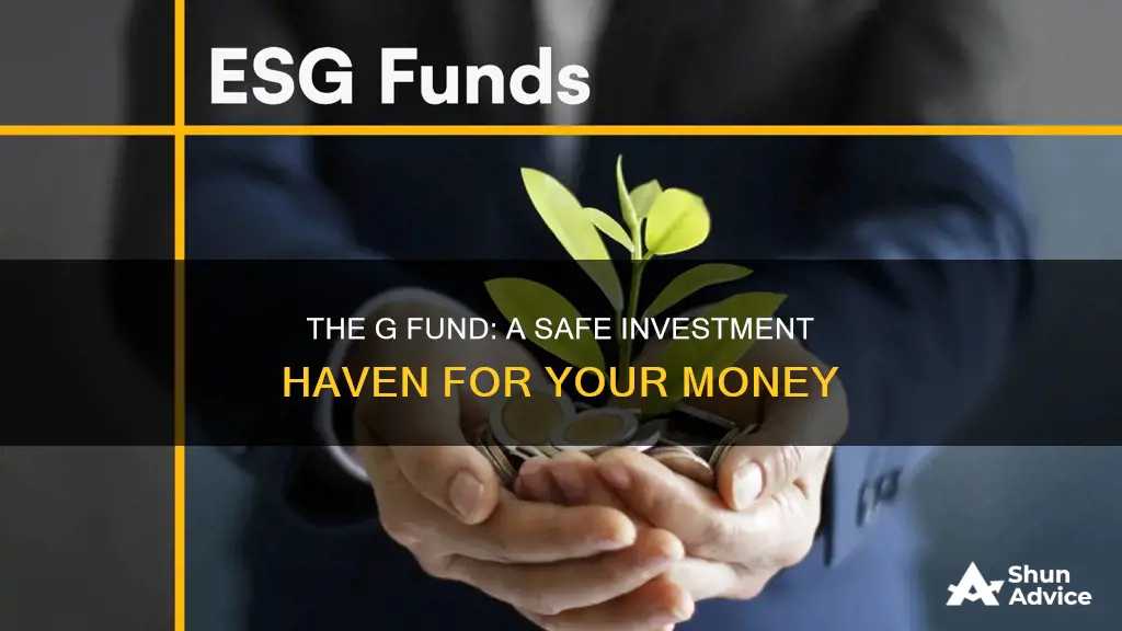 how to invest in the g fund