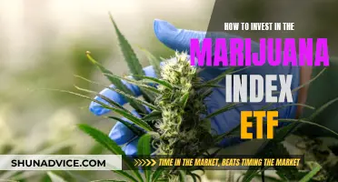 Marijuana Index ETF: A Smart Investment Strategy