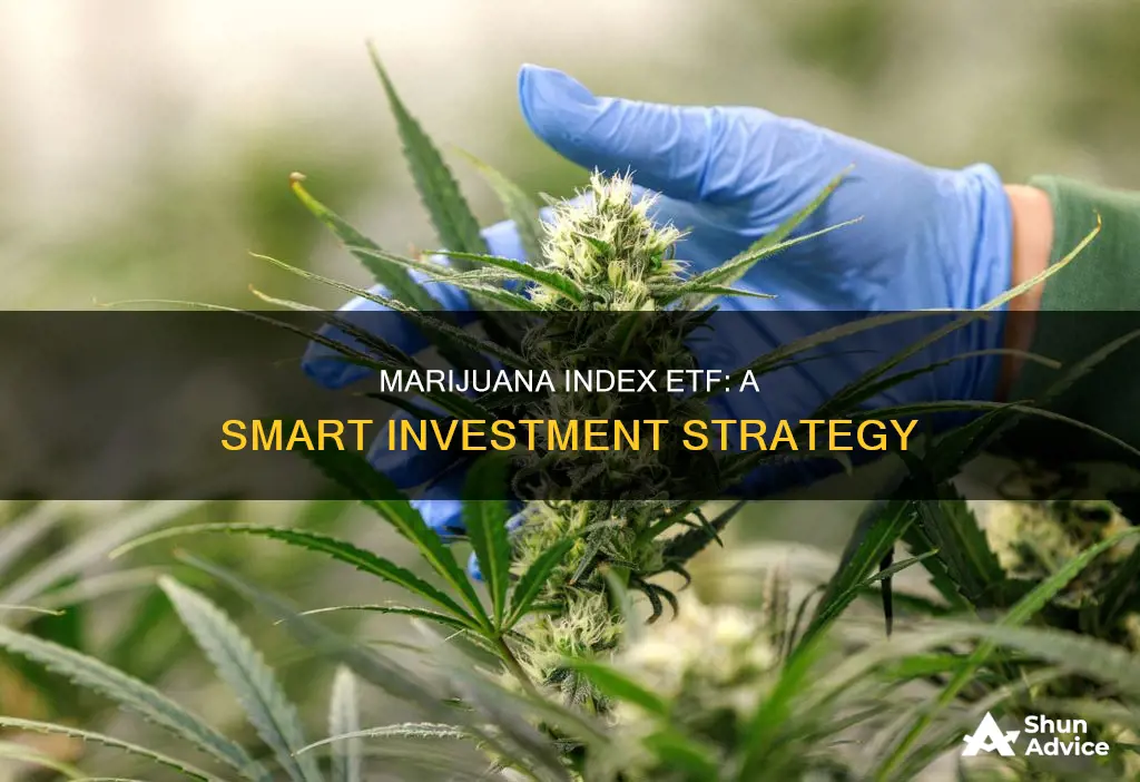 how to invest in the marijuana index etf