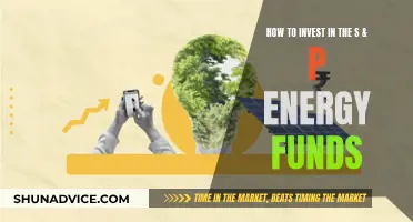 Energy Funds: S&P Investment Strategies and Tips