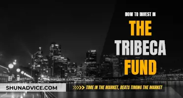 Tribeca Fund: A Guide to Investing Wisely