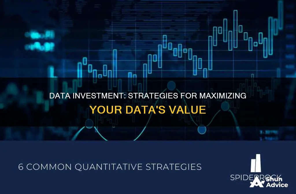 how to invest in the use of data