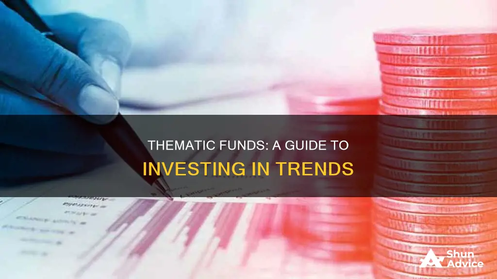 how to invest in thematic funds