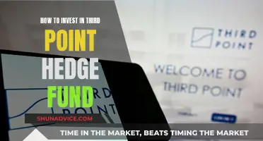 Strategies for Investing in Third Point Hedge Fund