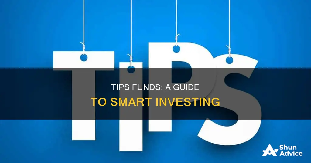 how to invest in tips funds