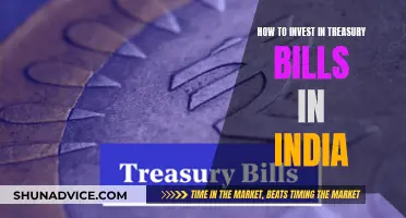 A Guide to Investing in Indian Treasury Bills