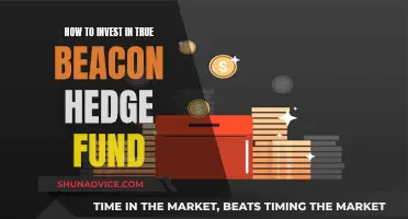 True Beacon Hedge Fund: Investment Strategies and Opportunities