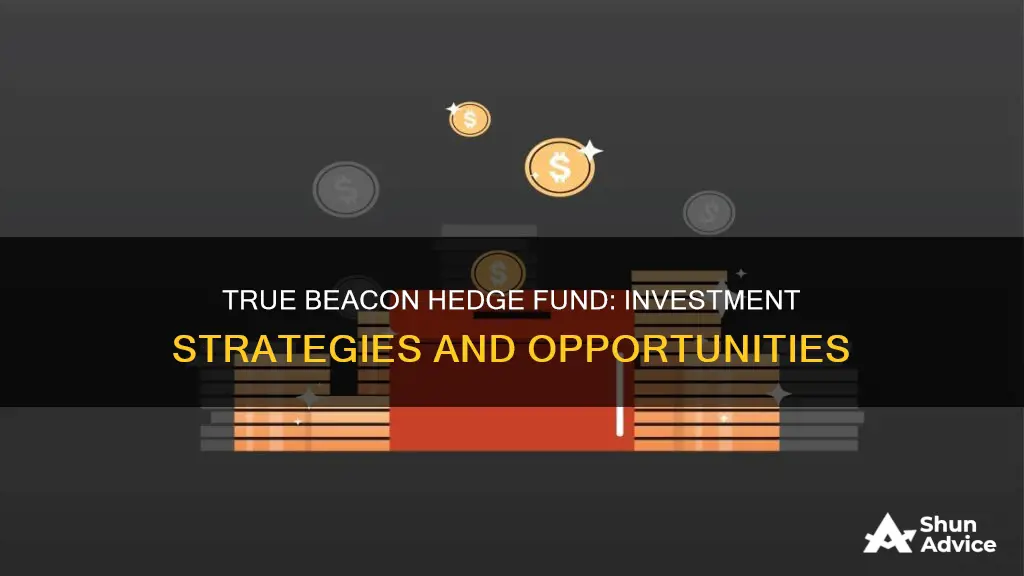 how to invest in true beacon hedge fund