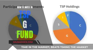 TSP G Fund: A Guide to Investing