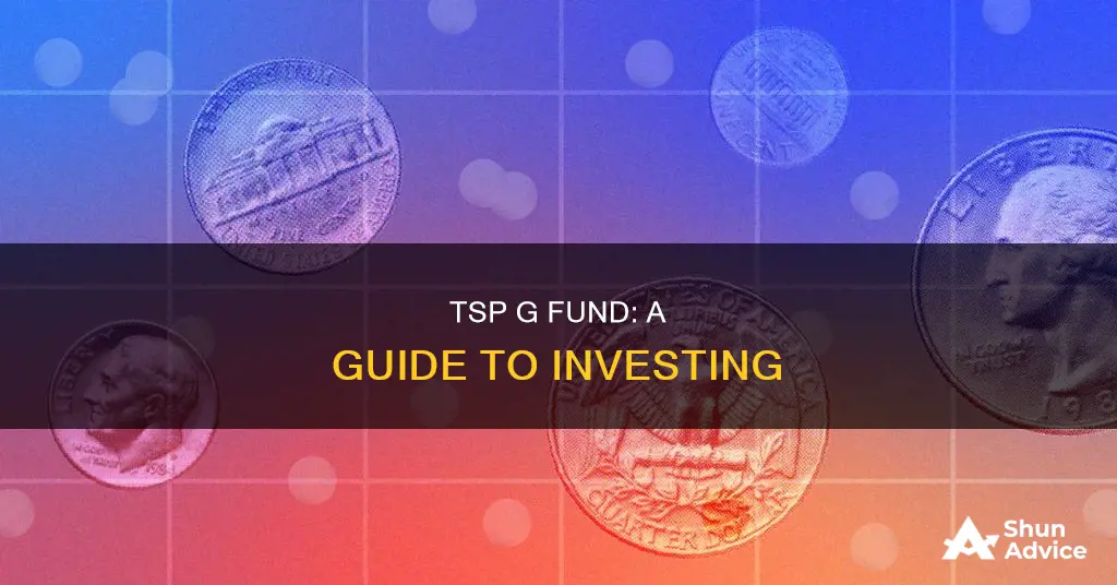 how to invest in tsp g fund