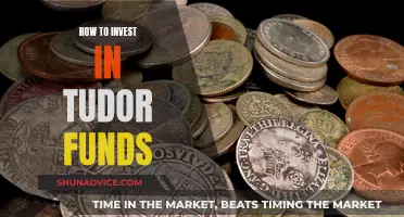 Tudor Funds: A Guide to Investing in Their Success