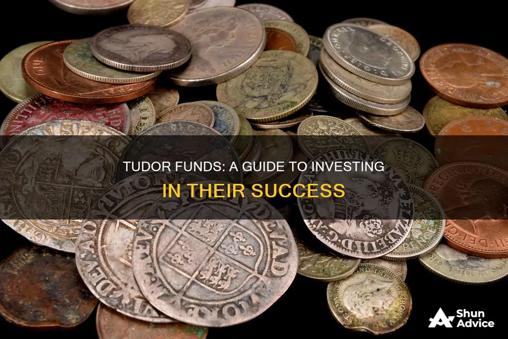 how to invest in tudor funds