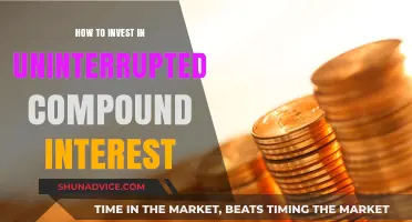 Unleash Your Wealth: Strategies for Continuous Compound Interest Growth