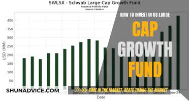 Large-Cap Growth Fund: A Smart Investment Strategy