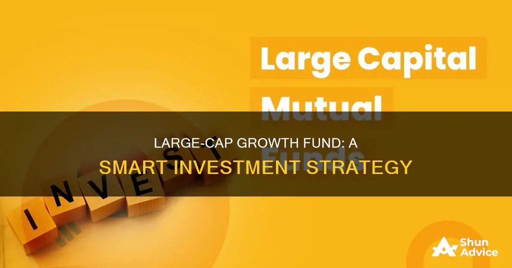 how to invest in us large cap growth fund