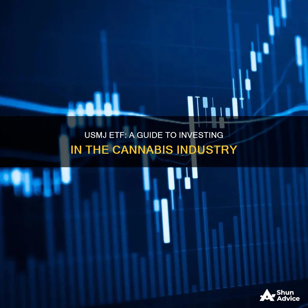 how to invest in usmj etf