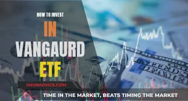 A Beginner's Guide to Vanguard ETF Investing