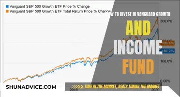 A Beginner's Guide: Investing in Vanguard Growth and Income Fund