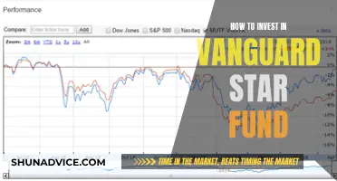 A Guide to Investing in Vanguard's Star Fund