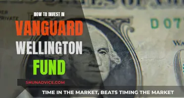 Wellington Fund: A Vanguard Investment Guide