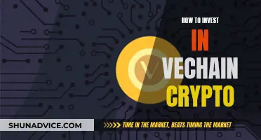 A Guide to Investing in VeChain Crypto