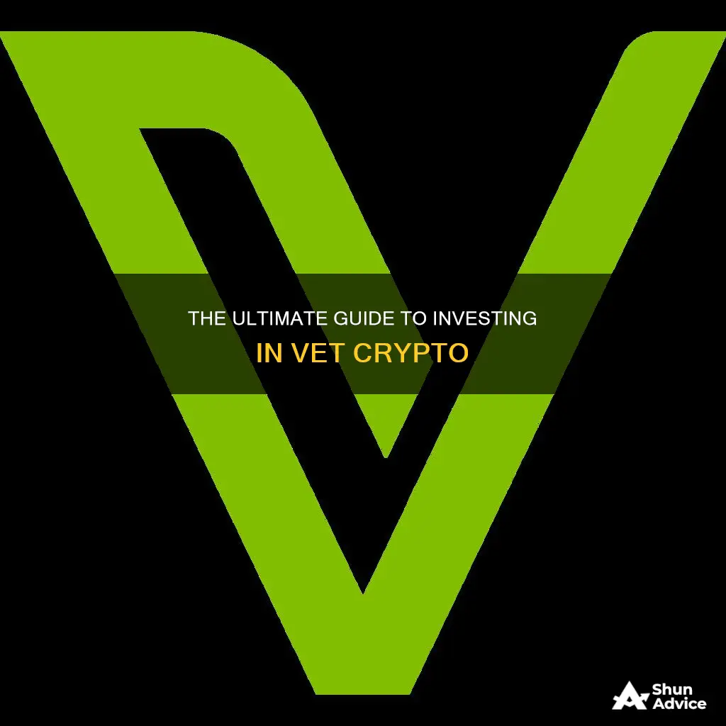 how to invest in vet crypto