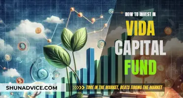 Vida Capital Fund: A Smart Investment Strategy