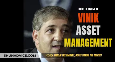 Vinik Asset Management: A Guide to Investing with the Best