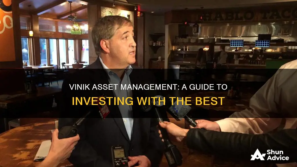 how to invest in vinik asset management