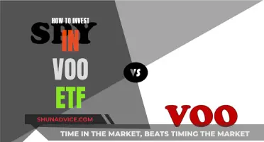 A Beginner's Guide to Investing in VOO ETF