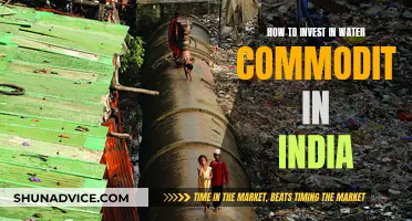 Water Commodity Investment Guide for Indians