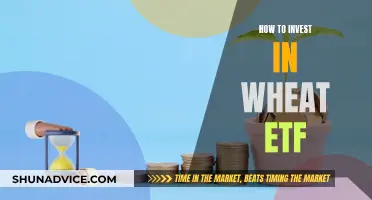 Wheat ETF: A Beginner's Guide to Investing