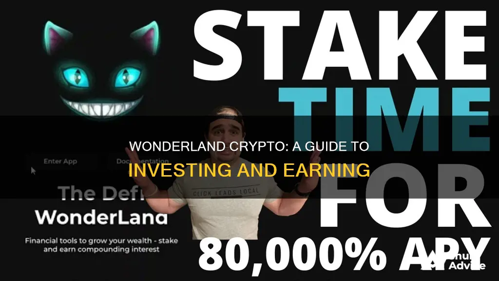 how to invest in wonderland crypto